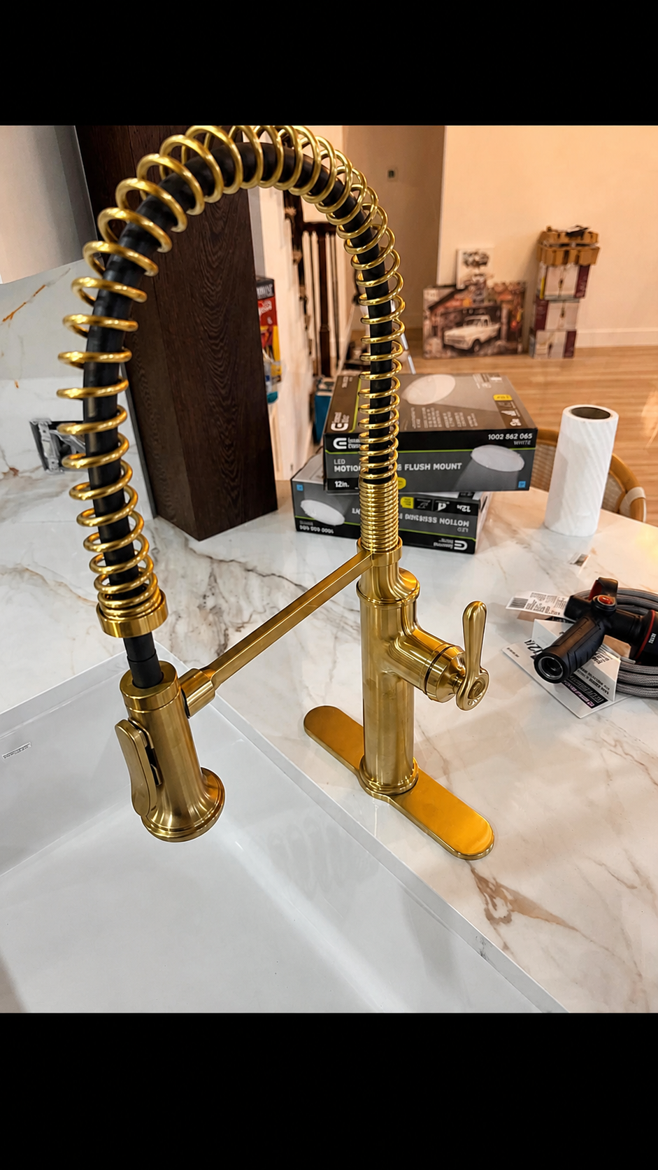 Sink, faucet, and garbage disposal service